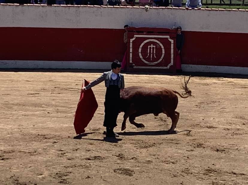 Espectáculo taurino con torero y toro